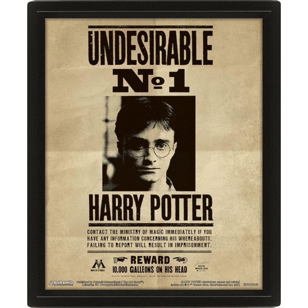 3D obraz Harry Potter Sirius - Poškozený obal