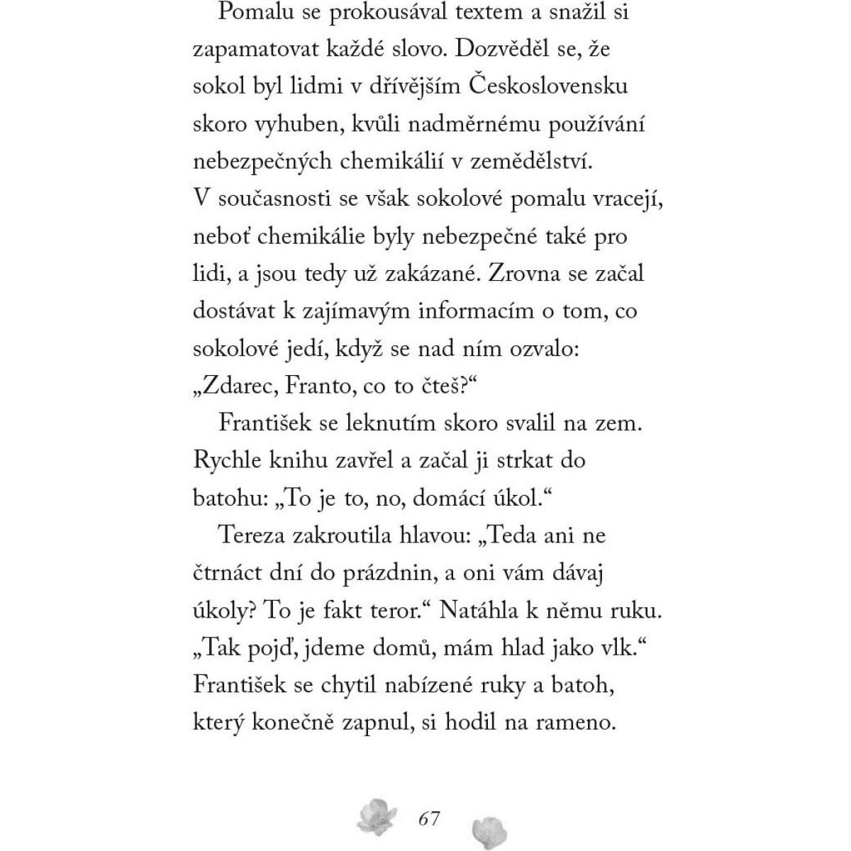 Fragment Nové příběhy se šťastným koncem Poraněný sokol