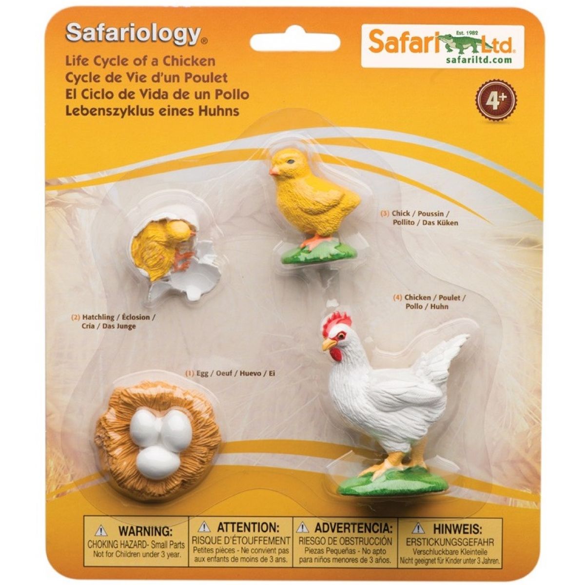 Safari Ltd Životní cyklus Kuře