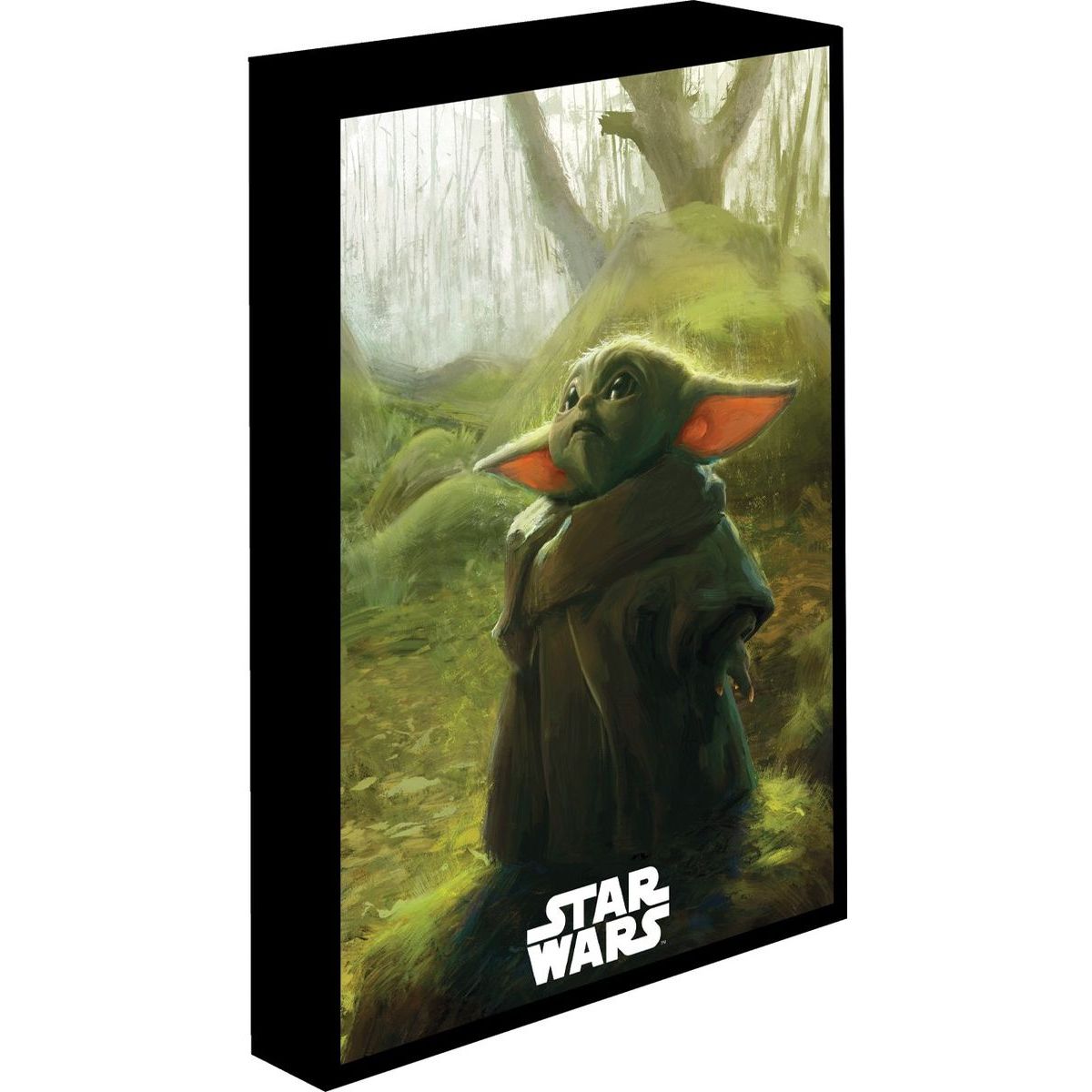 Pyramid International Star Wars Obraz LED svítící 30x40 cm