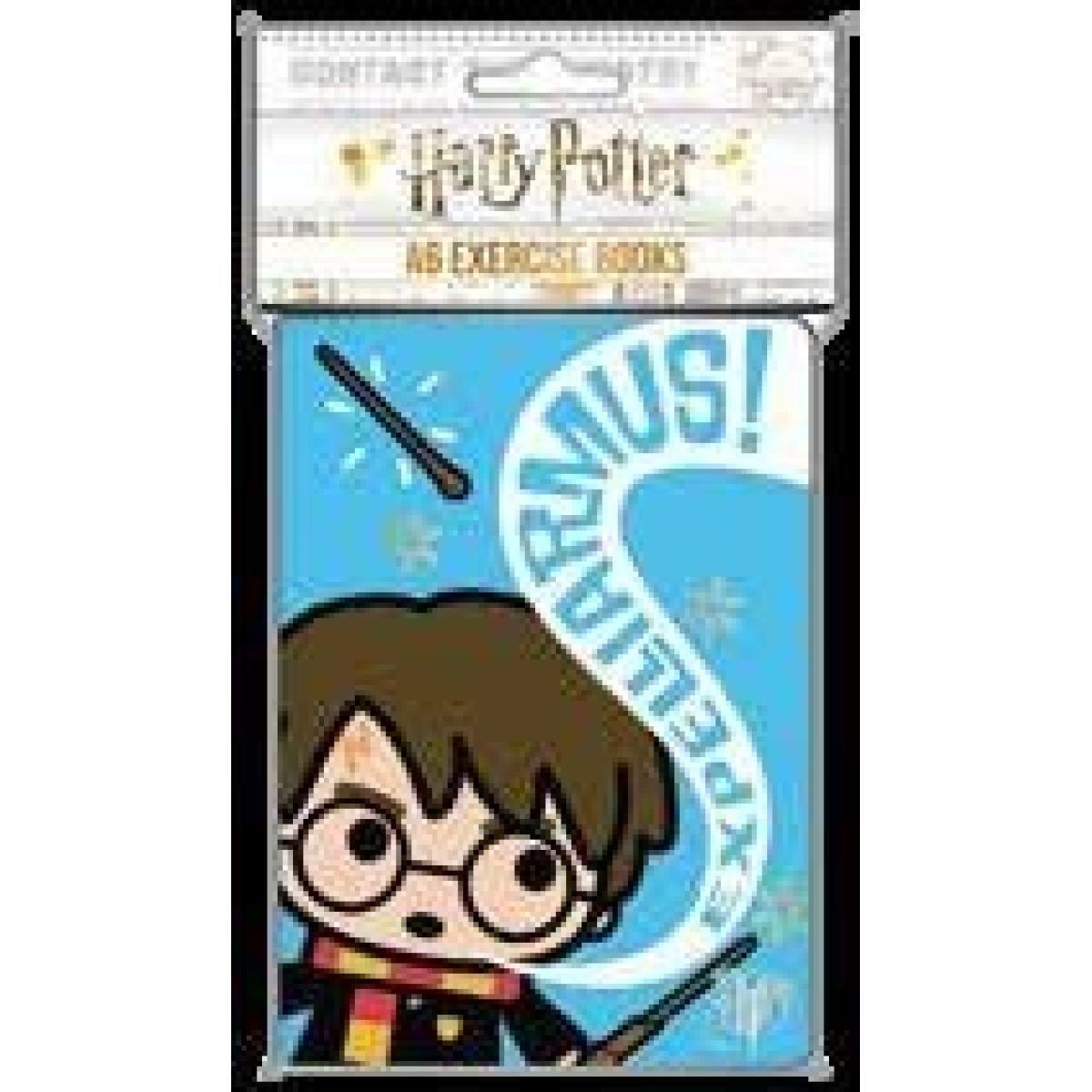 Bluesky Harry Potter Kawai Set bloků A6