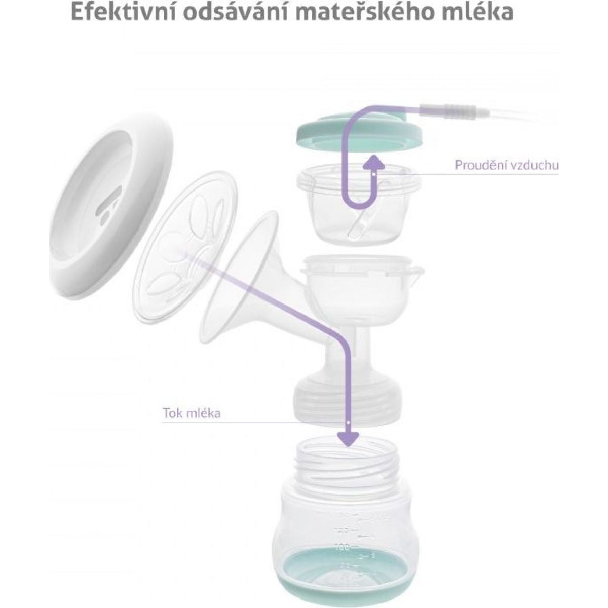 TrueLife Nutrio BP Electric