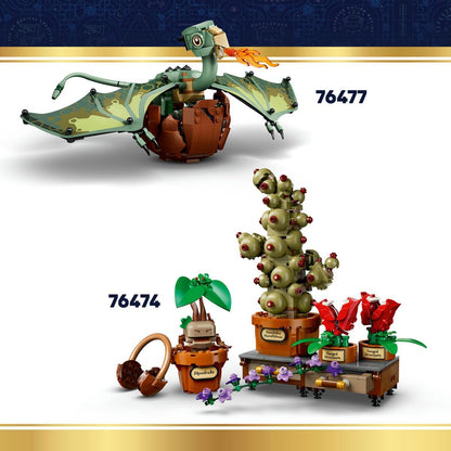 LEGO® Harry Potter™ 76469 Svobodný skřítek Dobby™
