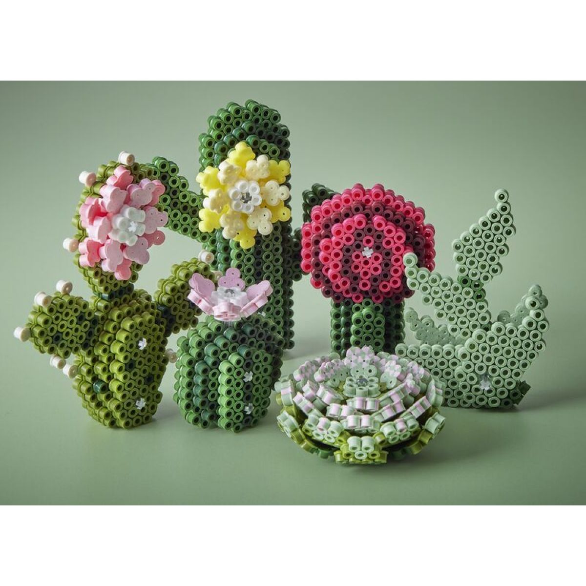 Hama Art Sukulenty MIDI