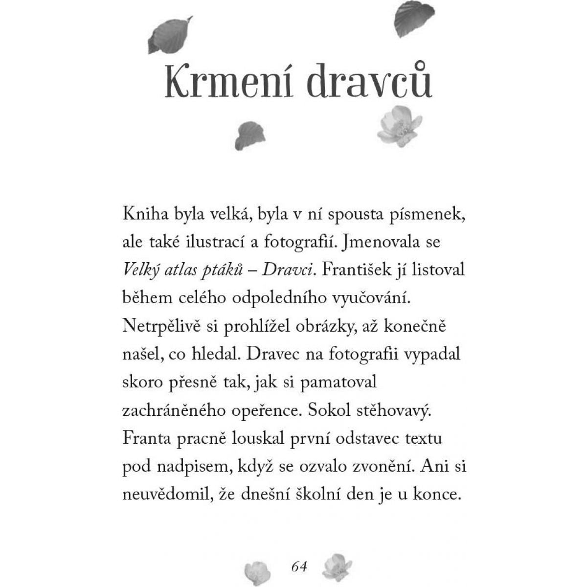 Fragment Nové příběhy se šťastným koncem Poraněný sokol