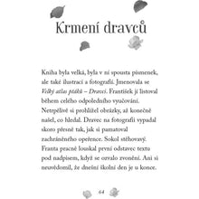 Fragment Nové příběhy se šťastným koncem Poraněný sokol