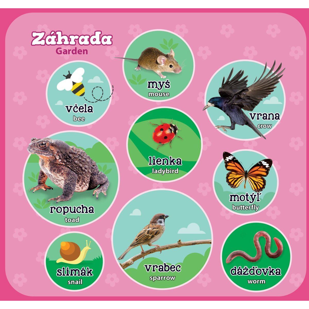 Vtech Mojich 100 zvieratiek SK