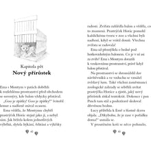 Ema a její kouzelná zoo - Osamělé lvíče - Amelia Cobb