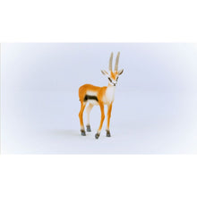 Schleich 14861 Zvířátko Gazela Thomsonova