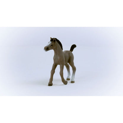 Schleich 13957 Zvířátko Hříbě plemene Selle Français