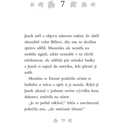 Fragment Příběhy se šťastným koncem Zachráněná sovička