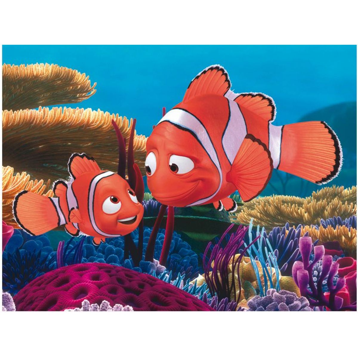 Dino Kubus 12 kostek Nemo