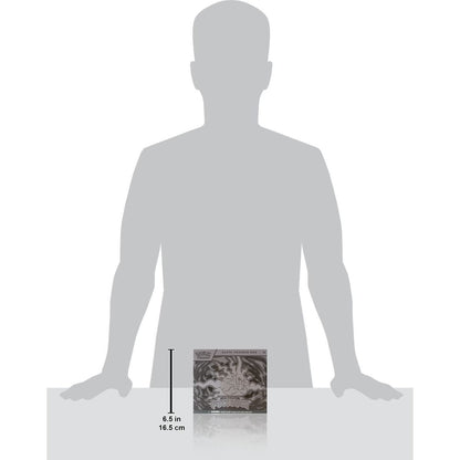 Pokémon TCG: ME05 Pitch Black - Elite Trainer Box - Case