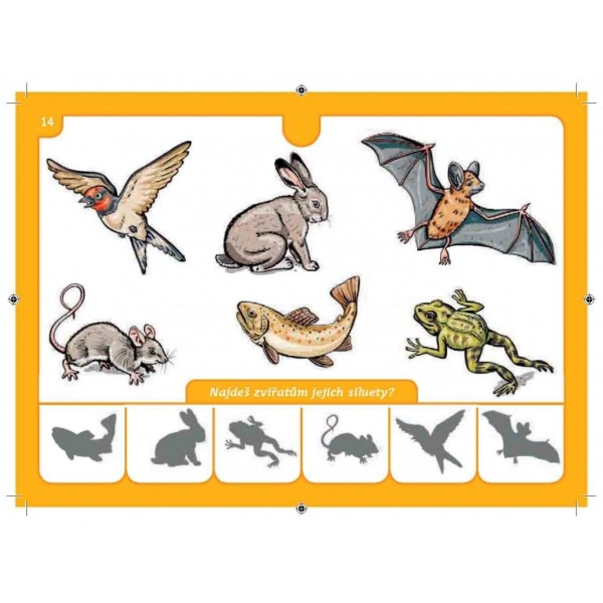 Svoboda Školička 2