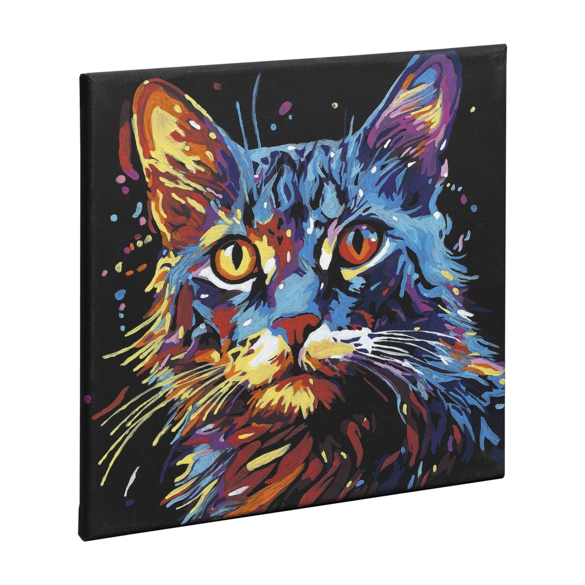 Craft Creative Malování podle čísel na černé plátno kočka