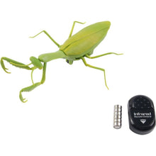 Alltoys RC Kudlanka