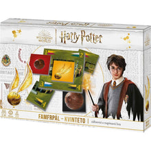 Efko Harry Potter Famfrpál - rodinná společenská hra