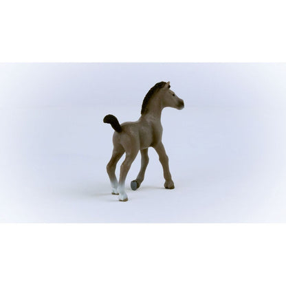 Schleich 13957 Zvířátko Hříbě plemene Selle Français