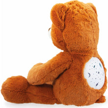 Pohádkový medvídek 30cm CZ