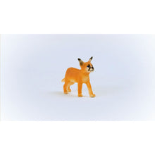 Schleich 14868 Zvířátko Mládě karakala