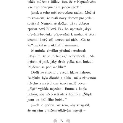 Fragment Příběhy se šťastným koncem Zachráněná sovička