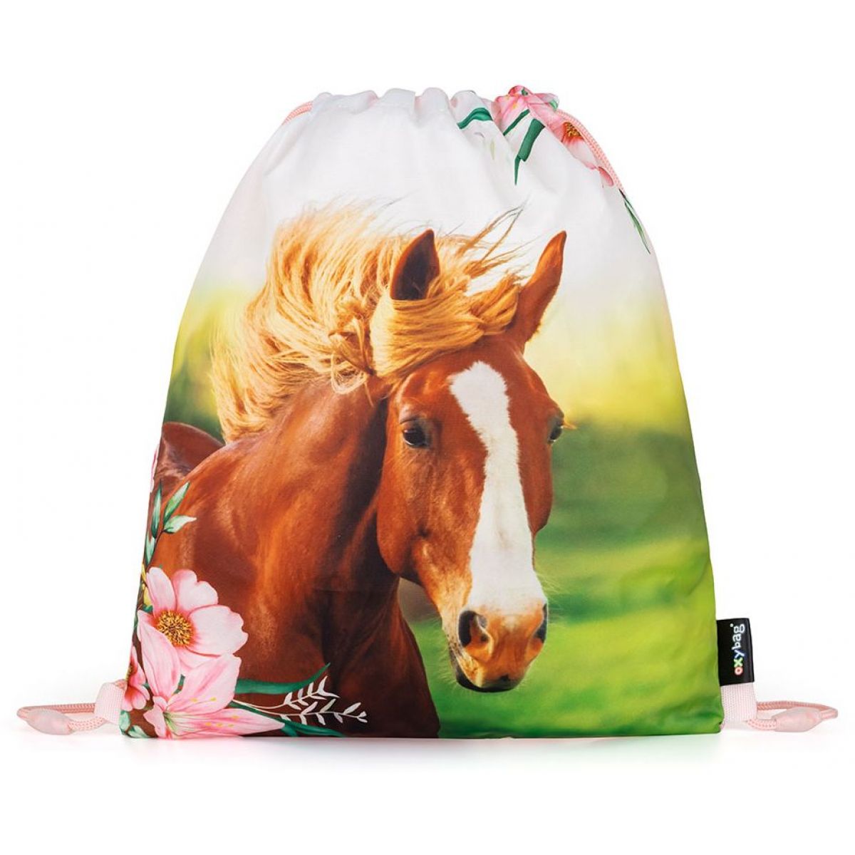 Karton P+P Školní set 3 ks Premium kůň