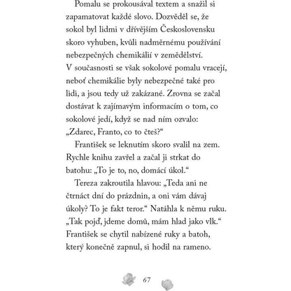 Fragment Nové příběhy se šťastným koncem Poraněný sokol