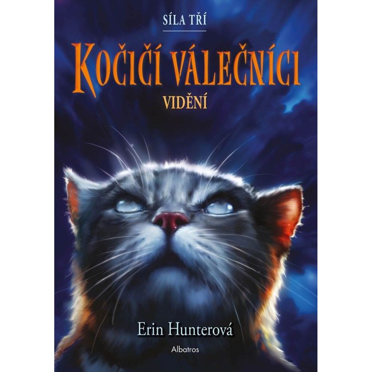 Kočičí válečníci: Síla tří (1) - Vidění Erin Hunterová
