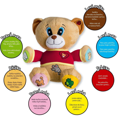 Teddies Medvěd Tedík mluvící