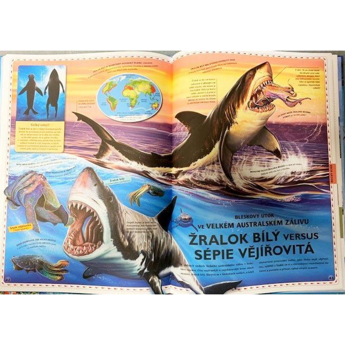 SUN Velký atlas oceánů