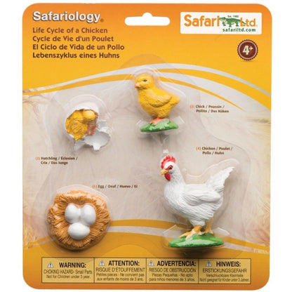 Safari Ltd Životní cyklus Kuře