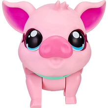 Little Live Pets prasátko Piggly