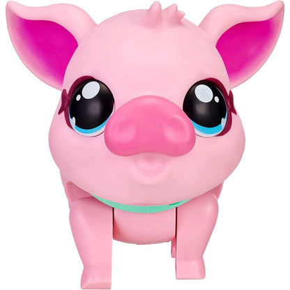 Little Live Pets prasátko Piggly