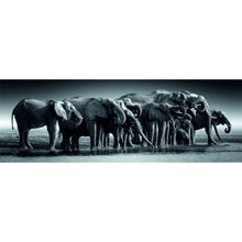 Clementoni puzzle 1000 Panorama Stádo obrů