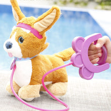 Sprint štěně Corgi