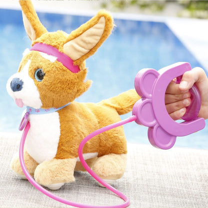 Sprint štěně Corgi