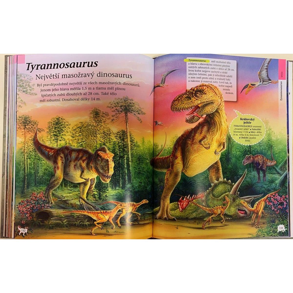 SUN Velká kniha dinosauři a prehistorická zvířata