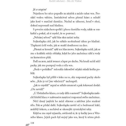 Kočičí válečníci: Síla tří (1) - Vidění Erin Hunterová