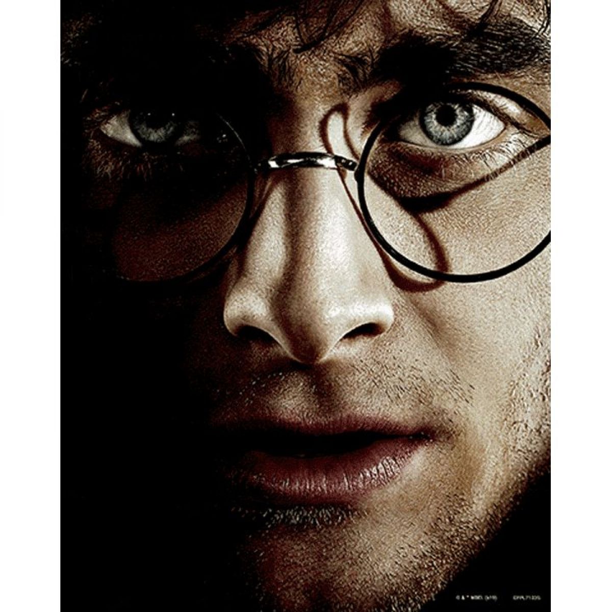 3D obraz Harry Potter Harry vs. Voldemort