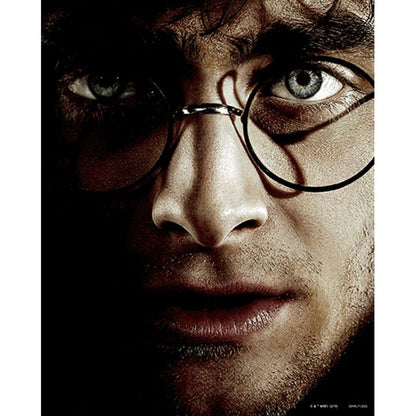 3D obraz Harry Potter Harry vs. Voldemort