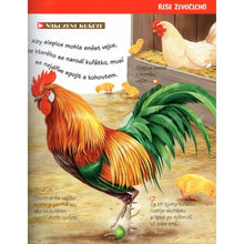 Příroda kolem nás