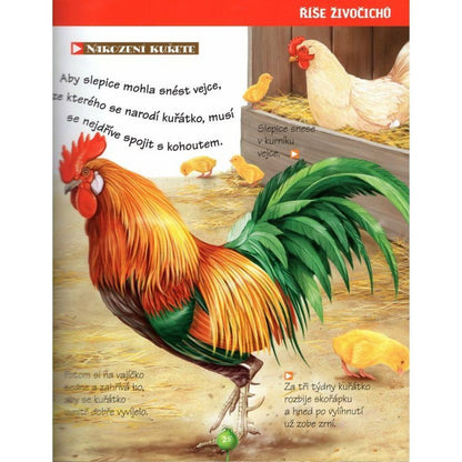 Příroda kolem nás