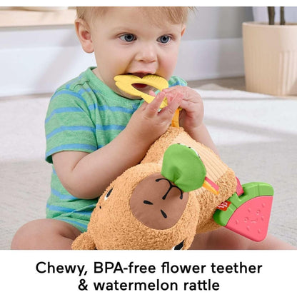 Fisher-Price Hebká svačinka pro kapybaru