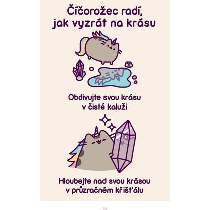 Bambilion životů košišty Pusheen - Claire Beltonová