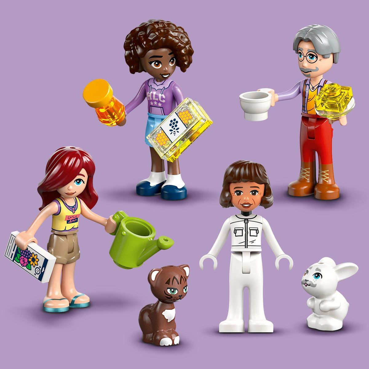 LEGO® Friends 42669 Dům včelařů a květinová zahrada - Poškozený obal