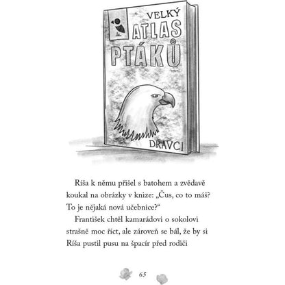 Fragment Nové příběhy se šťastným koncem Poraněný sokol