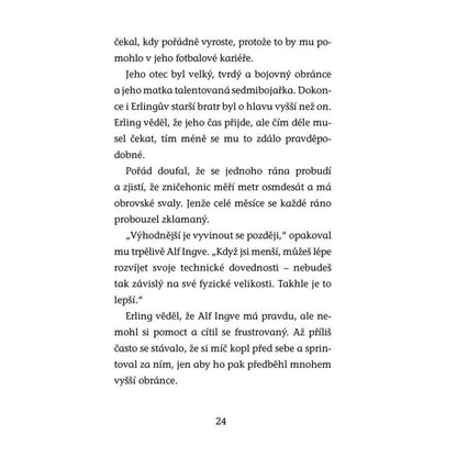 Hvězdy fotbalového hřiště - Haaland