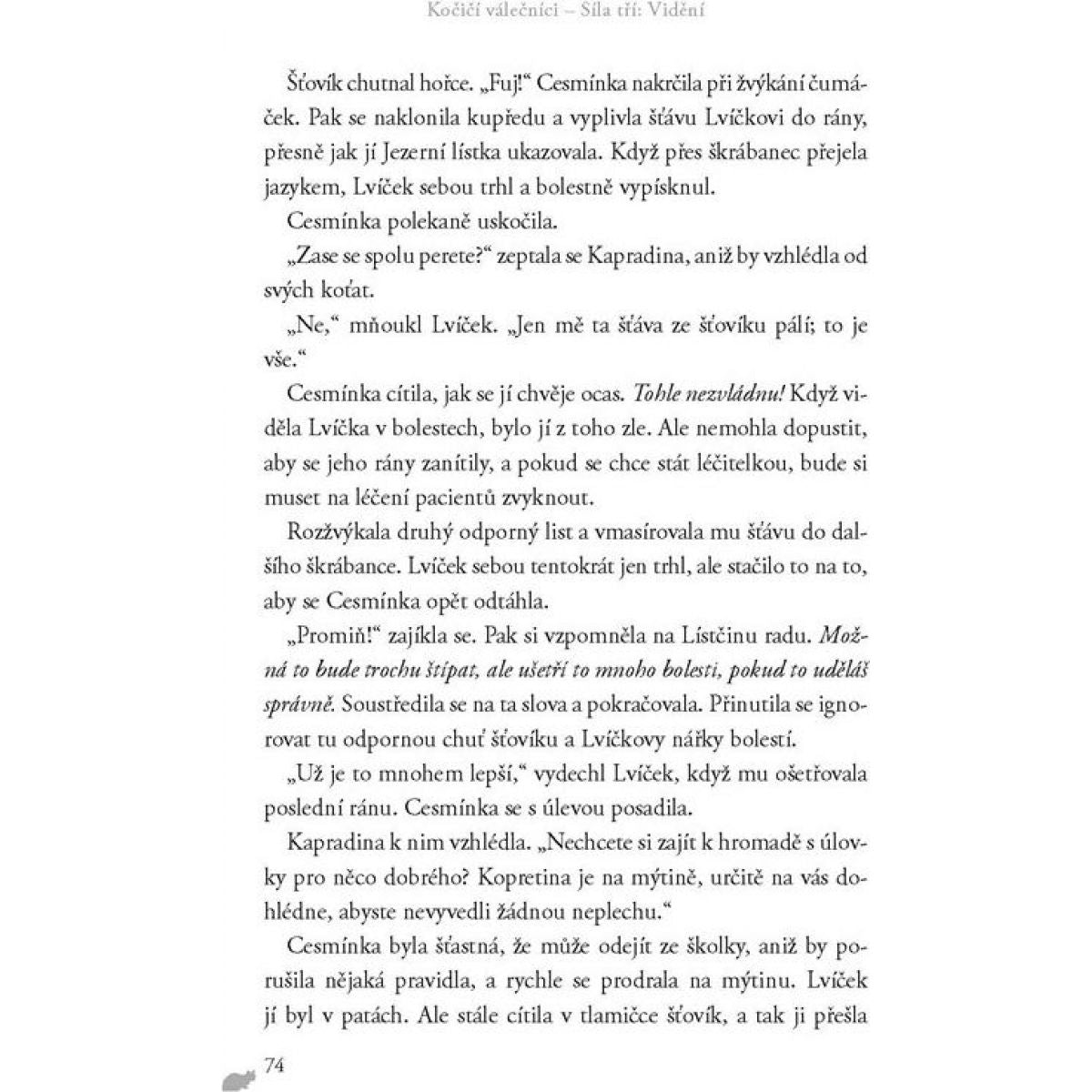 Kočičí válečníci: Síla tří (1) - Vidění Erin Hunterová