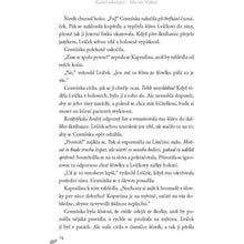 Kočičí válečníci: Síla tří (1) - Vidění Erin Hunterová