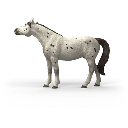 Schleich Zvířátko - valach knabstrupského koně